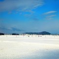 Photos: 雪景色～米原付近