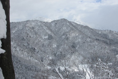 1041snk123