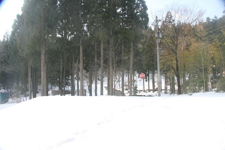 0930dg106