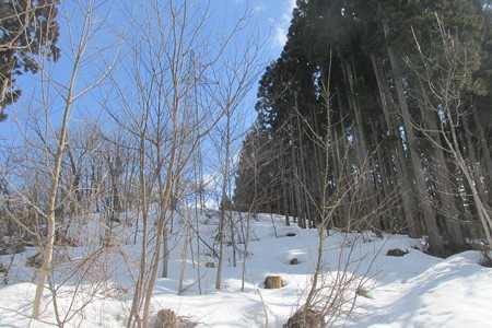 0940sg114