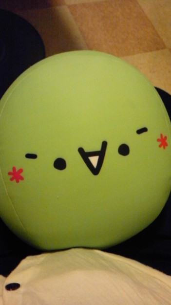 コチーヤ 写真共有サイト フォト蔵