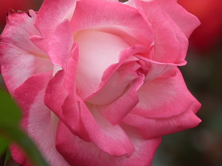 DSCF0128