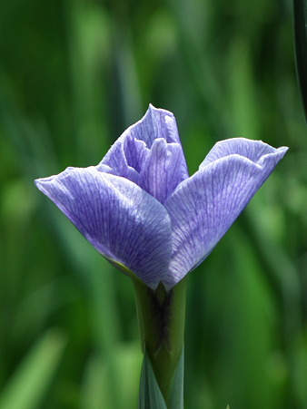 DSCF0070