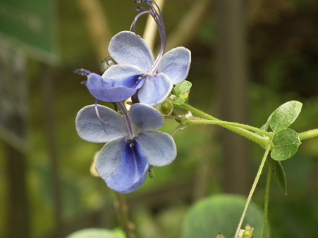 DSCF0329