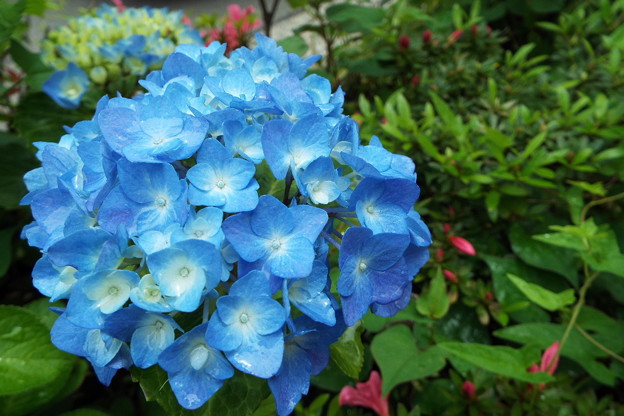 DSCF0119