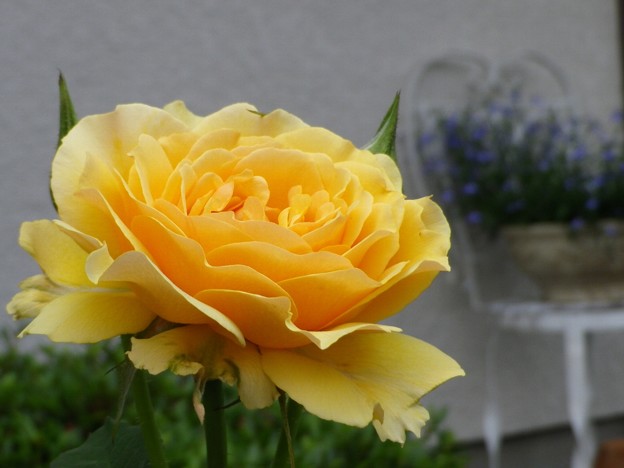 IMGP0073