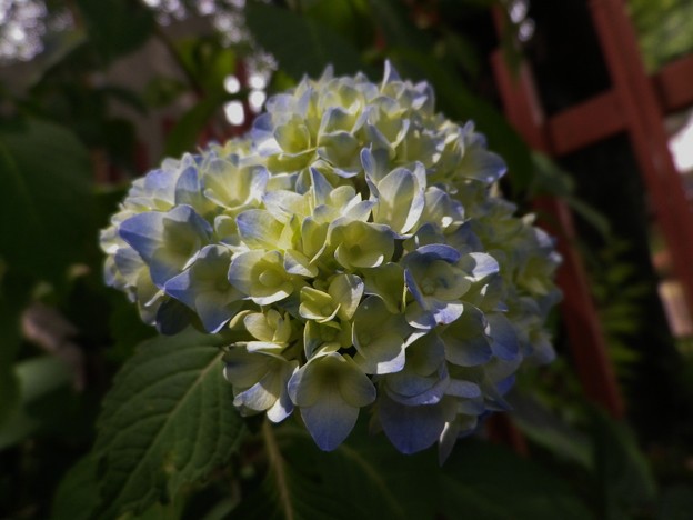 IMGP0571