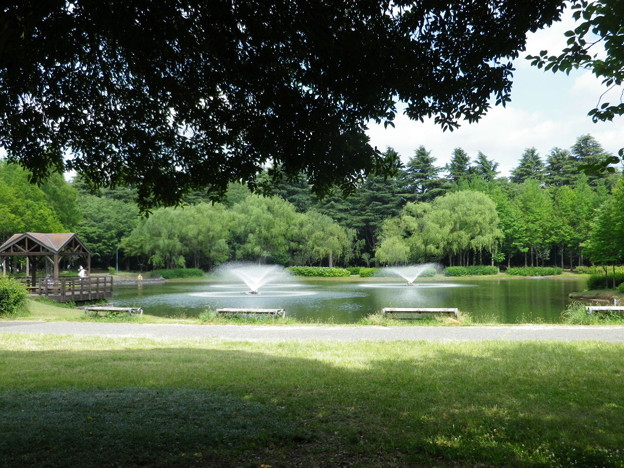IMGP0023