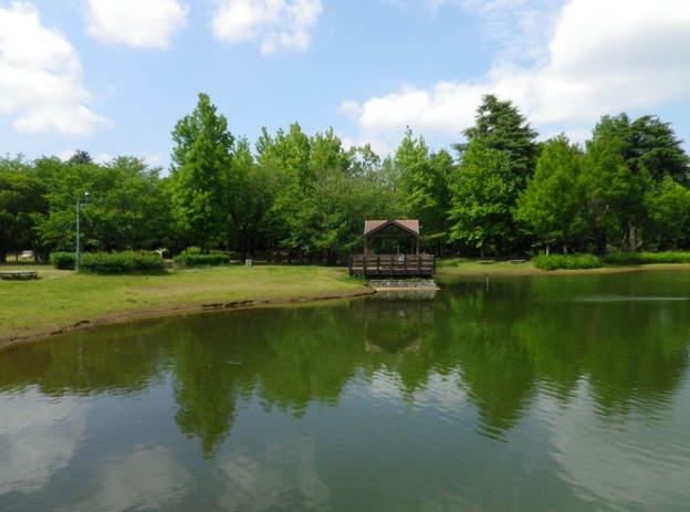 IMGP0031