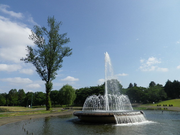 IMGP0105