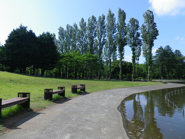 IMGP0139