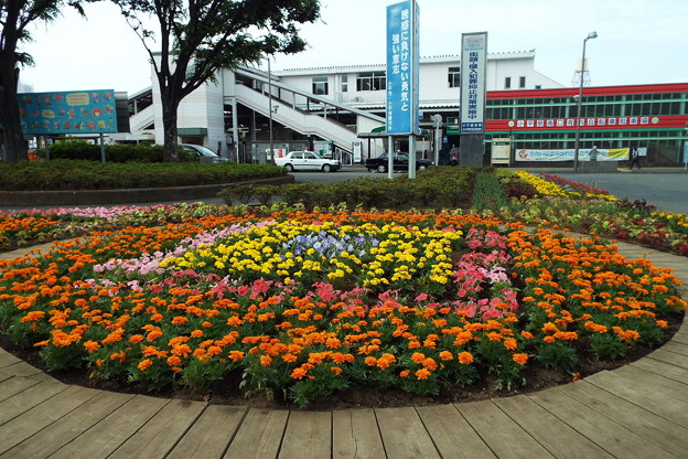 DSCF0679