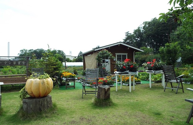 DSCF0386