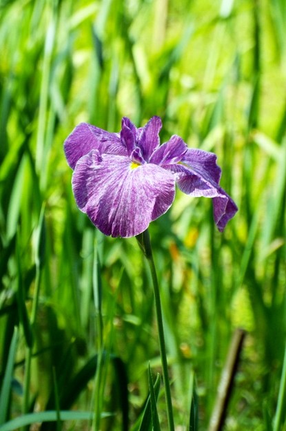 DSCF0397