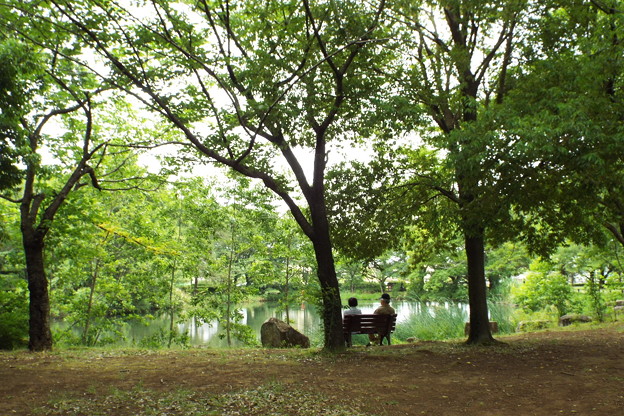 DSCF0221