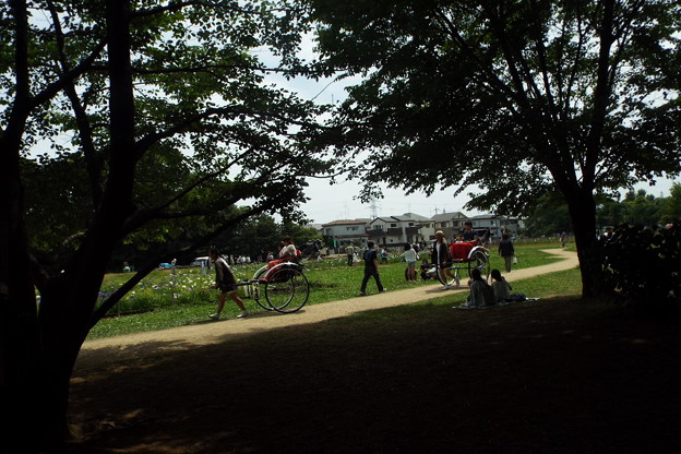 DSCF0401