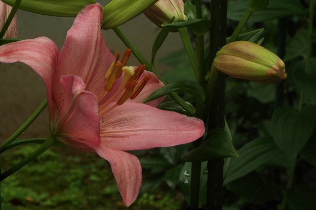 DSCF0038