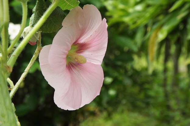 DSCF0035