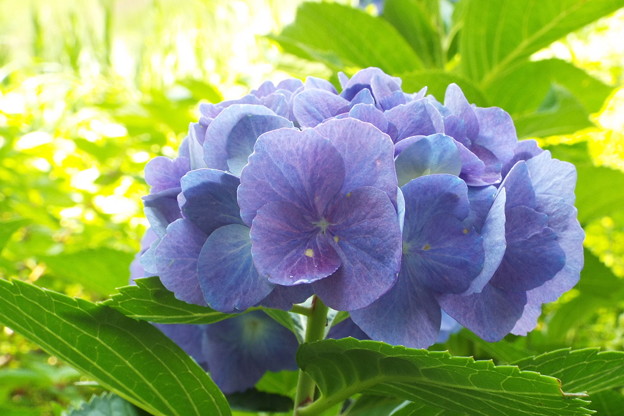 DSCF0374