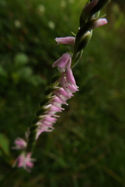 DSCF0569