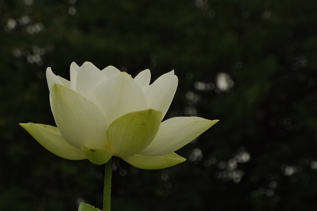 DSCF0047
