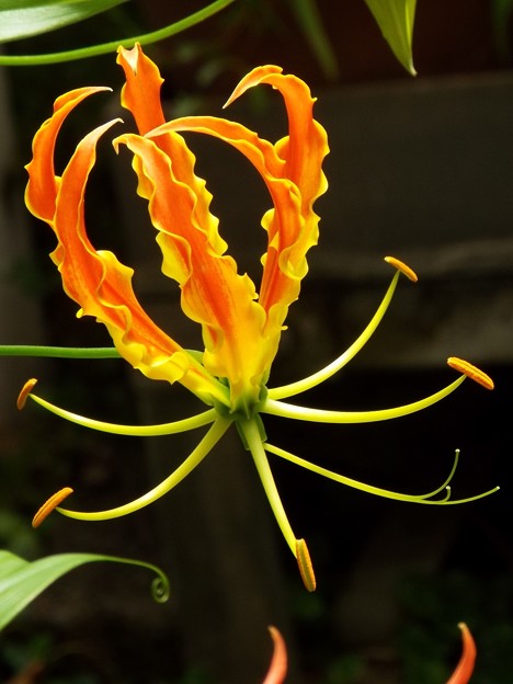 DSCF0252