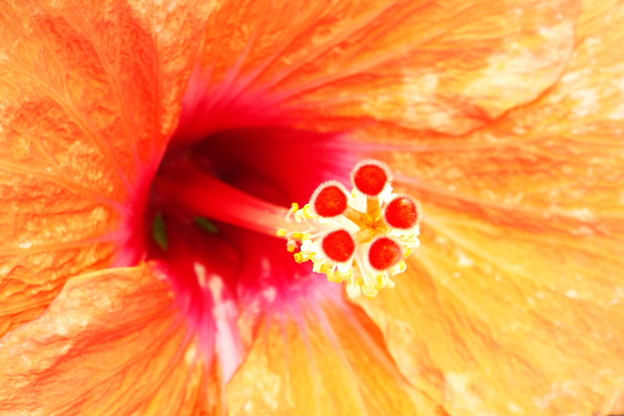 DSCF0276