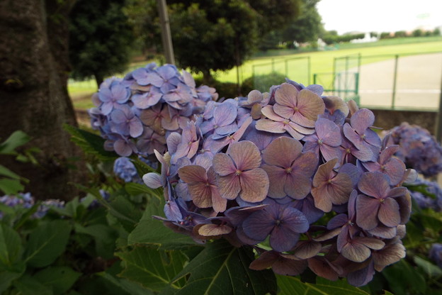 DSCF0040