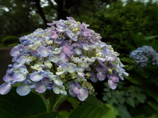 DSCF0169