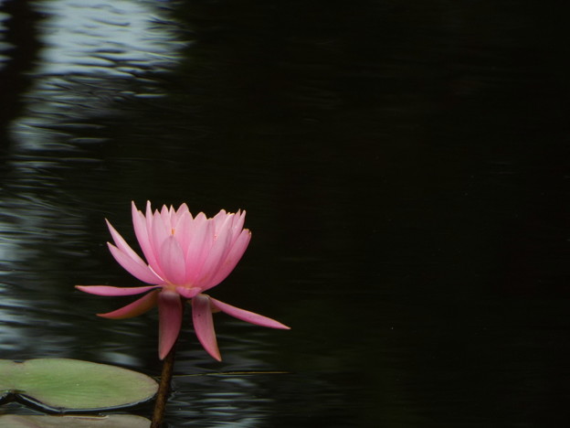 DSCF0232