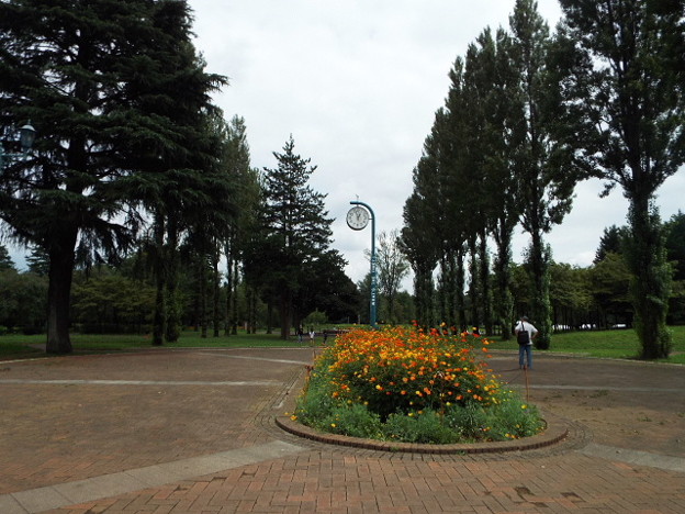 DSCF0002