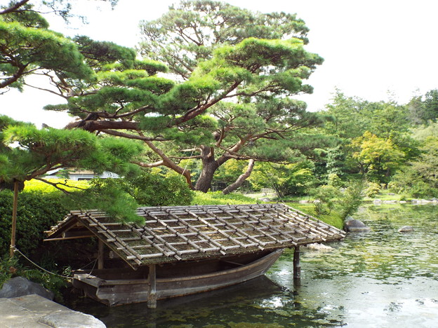 DSCF0299