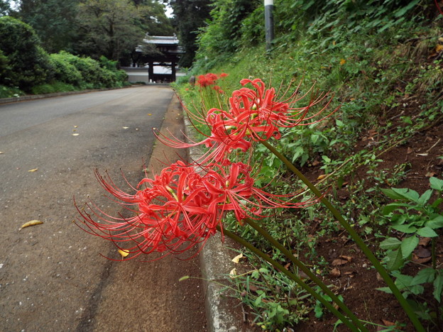 DSCF0070