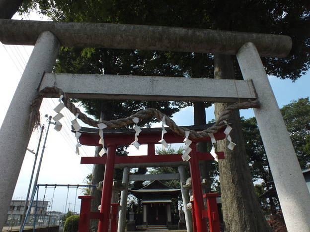 DSCF0230