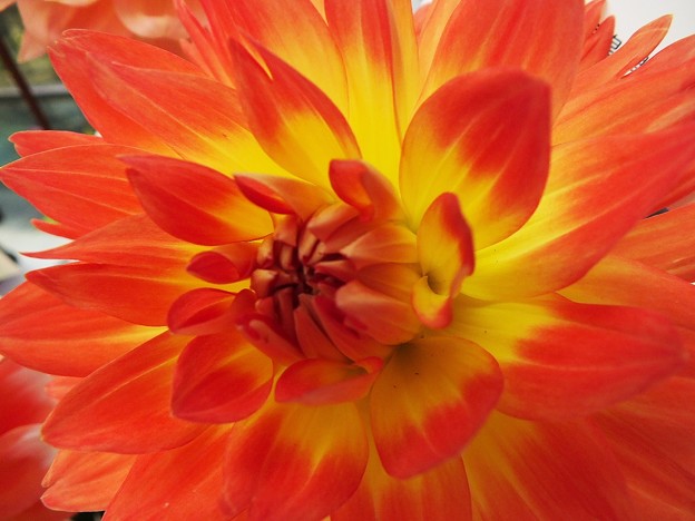 DSCF0595