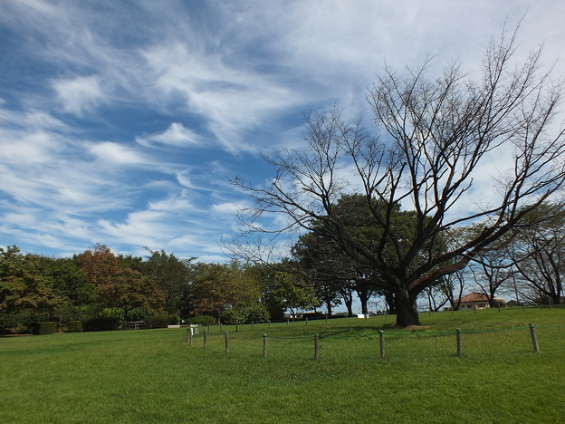 DSCF0231