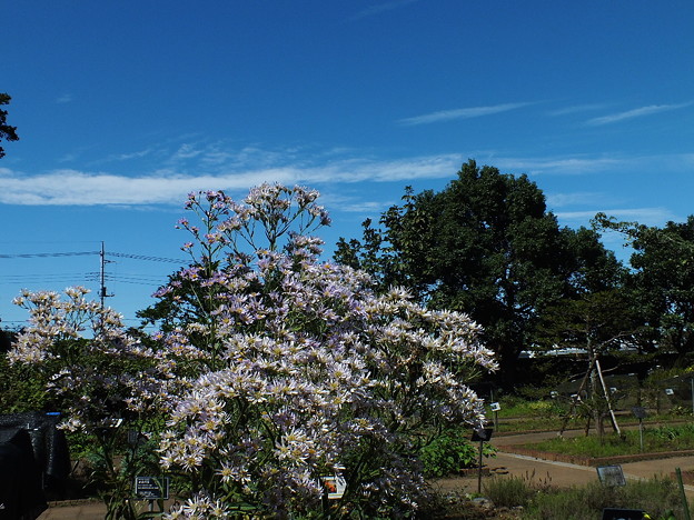 DSCF0351