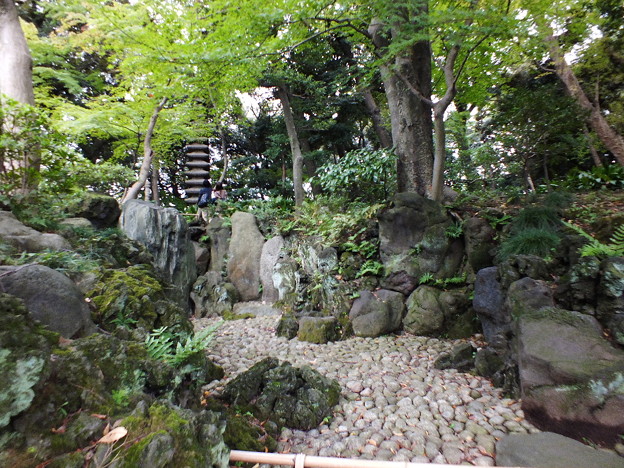 DSCF0345
