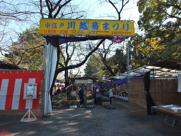 DSCF0018