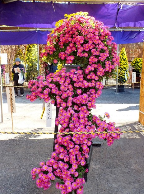 DSCF0091