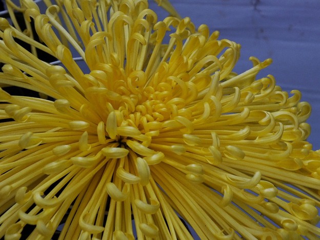 DSCF0039