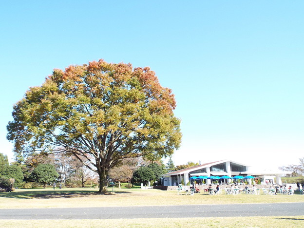 DSCF0072