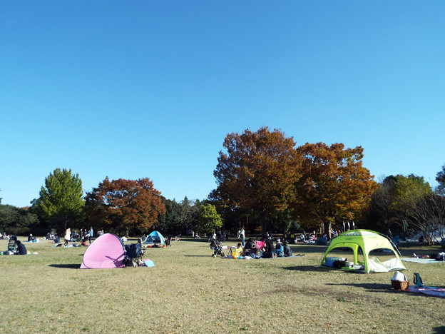 DSCF0355