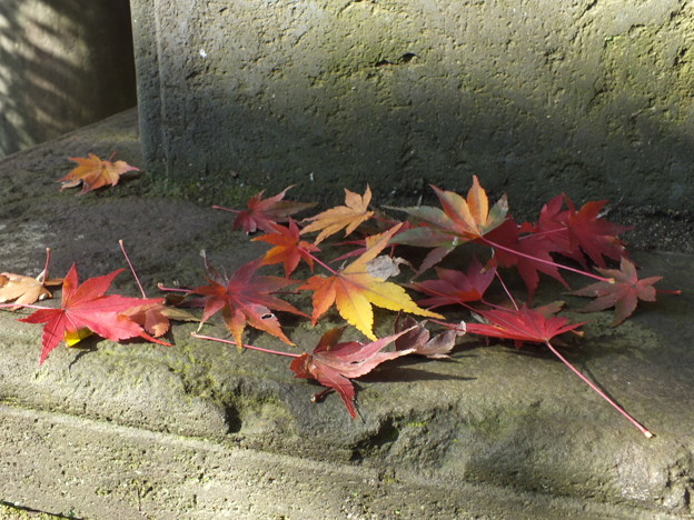 DSCF0063