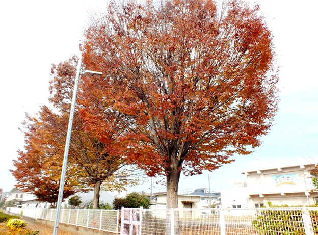 DSCF0111