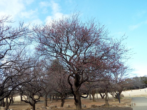 DSCF0148