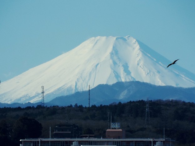 DSCF0006