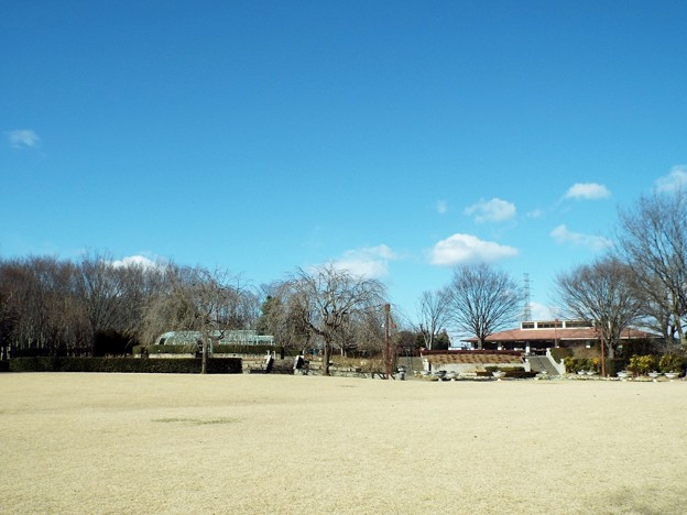 DSCF0135