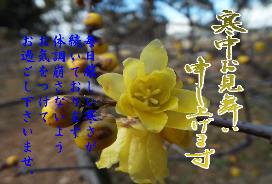 寒中2