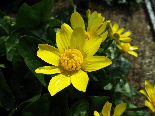 DSCF0349